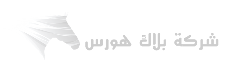 نظام المتجر الإلكتروني